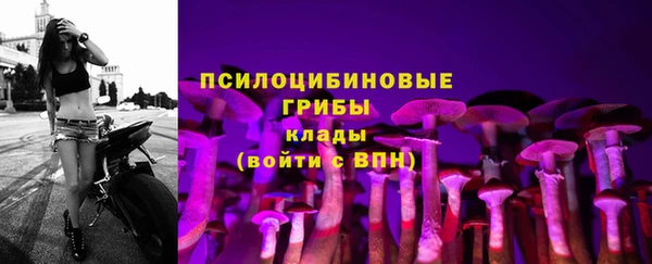 2c-b Анжеро-Судженск