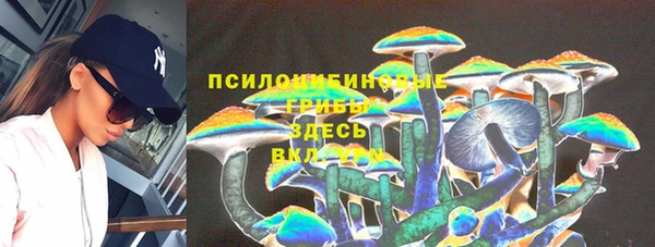 индика Навашино