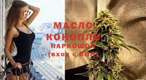 мдпв Надым