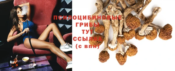 мдпв Надым